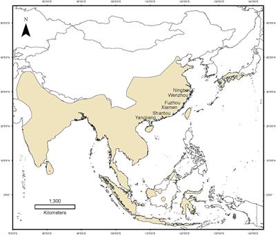 Geographical patterns of Fejervarya limnocharis gut microbiota by latitude along mainland China’s coastline